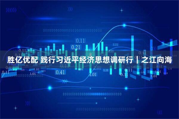 胜亿优配 践行习近平经济思想调研行｜之江向海
